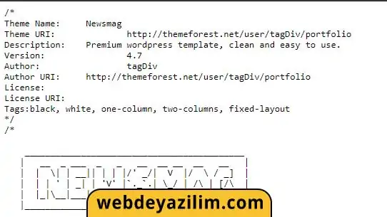 WordPress Tema Öğrenme