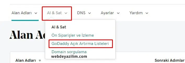 GoDaddy Alan Adı Satma