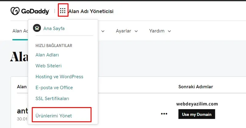 GoDaddy Alan Adı Satma