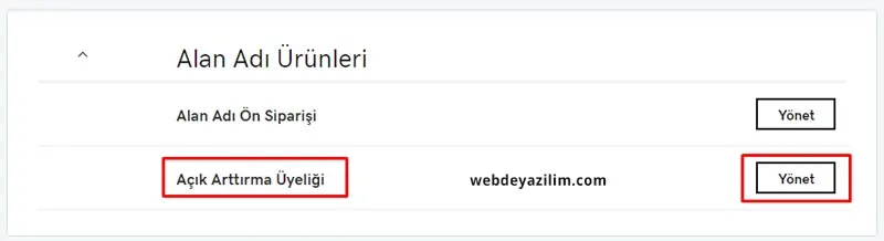 GoDaddy Alan Adı Satma