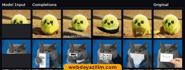 Yapay Zeka İle Resim Tamamlama