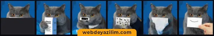 Yapay Zeka İle Resim Tamamlama