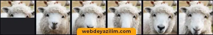 Yapay Zeka İle Resim Tamamlama