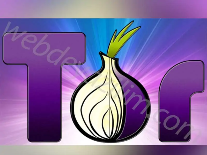 tor-ağı