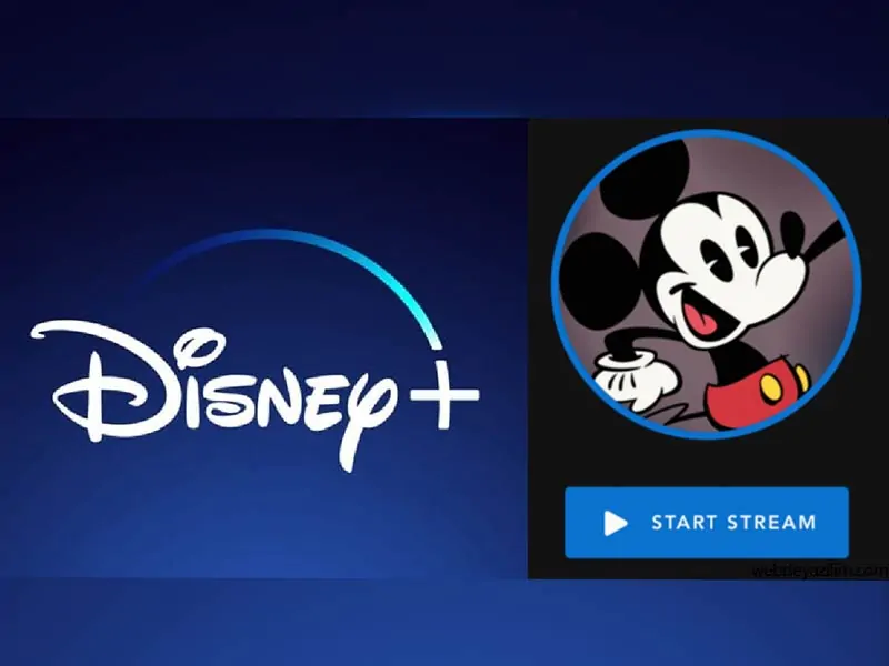 disney groupwatching