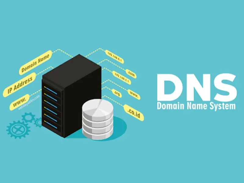 Domain Name System