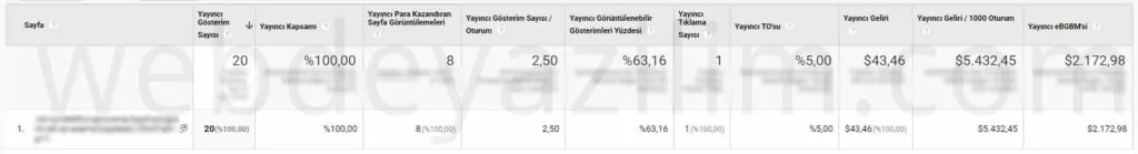 Google Adsense Gelir Arttırma Yöntemleri