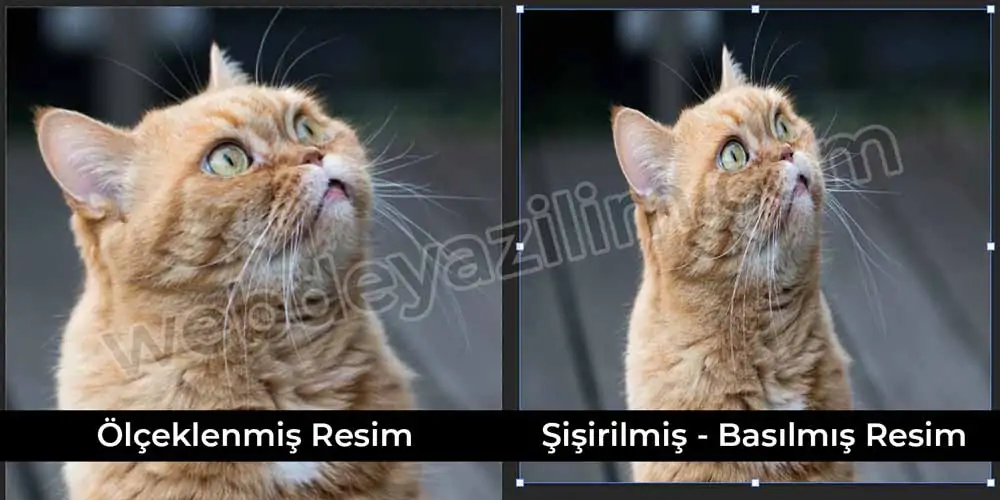 Photoshop - şişirilmiş görsel vs ölçeklenmiş görsel