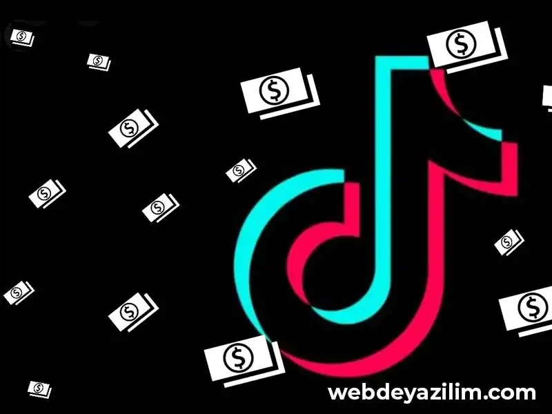 tiktok para hesaplama