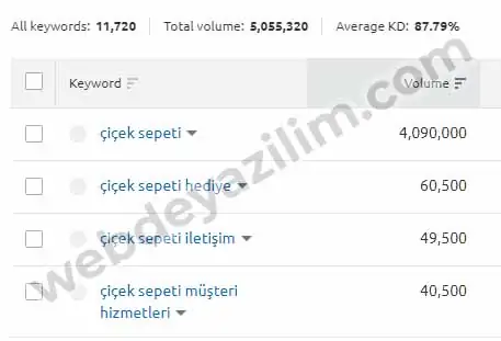 çiçek sepeti Google aylık aranma hacimleri;