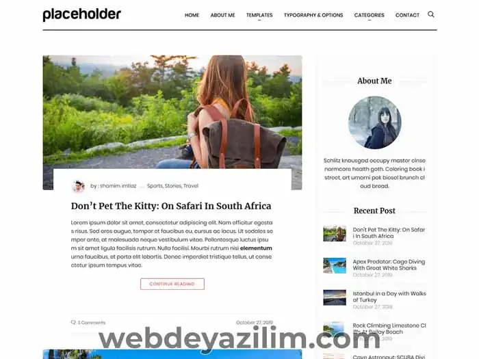 Aari WordPress Teması