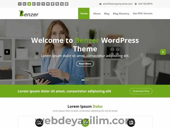 Benzer