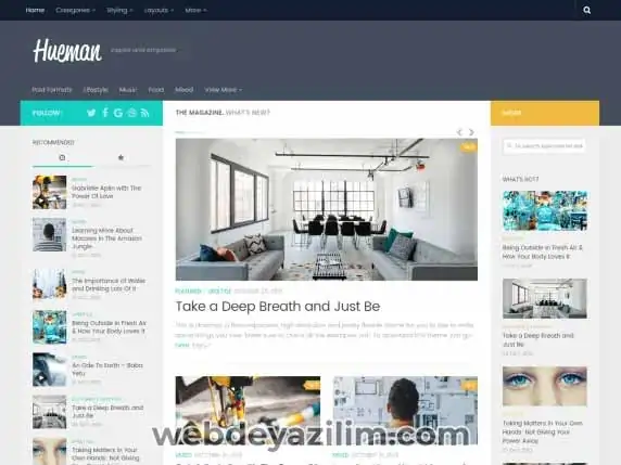 Hueman WordPress Teması