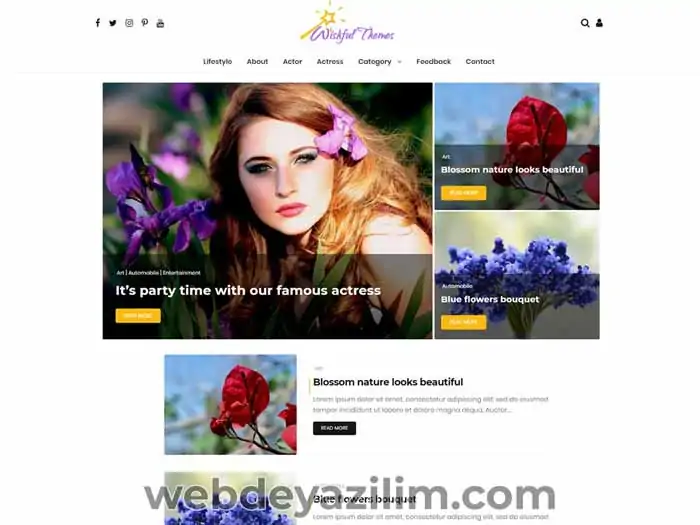 Wishful Blog WordPress Teması