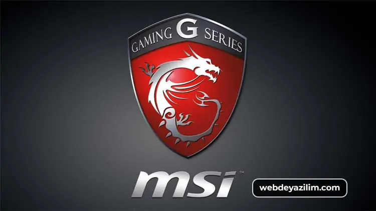 MSI
