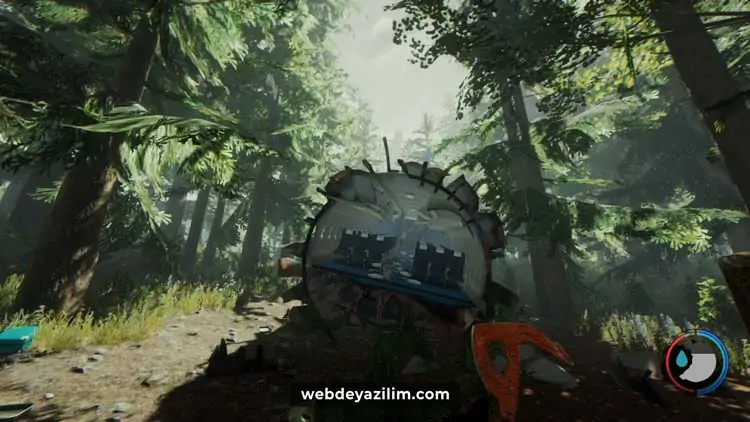 The Forest