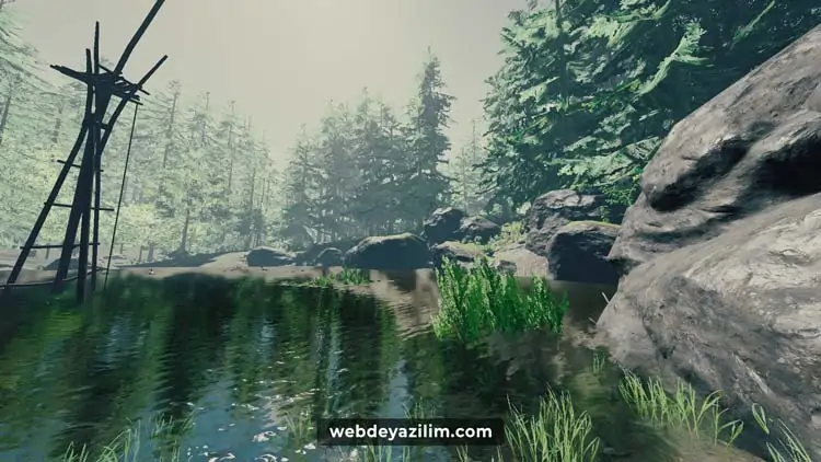 The Forest