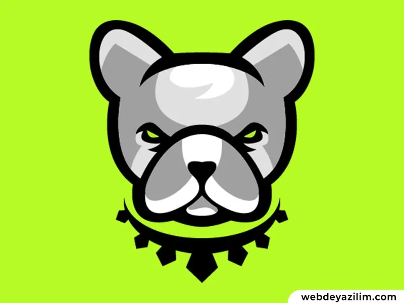 Pitbull Coin Nedir? Pitbull Coin Nasıl ve Nereden Alınır?