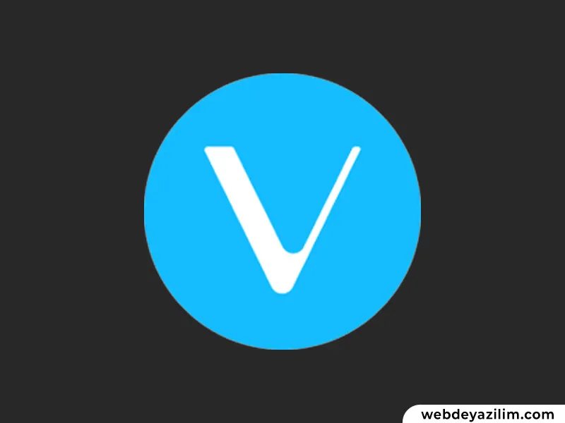 vet coin nedir