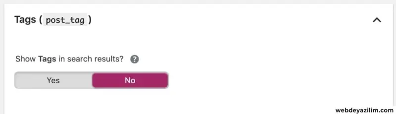 Yoast SEO Eklentisi Etiket İndex Ayarları