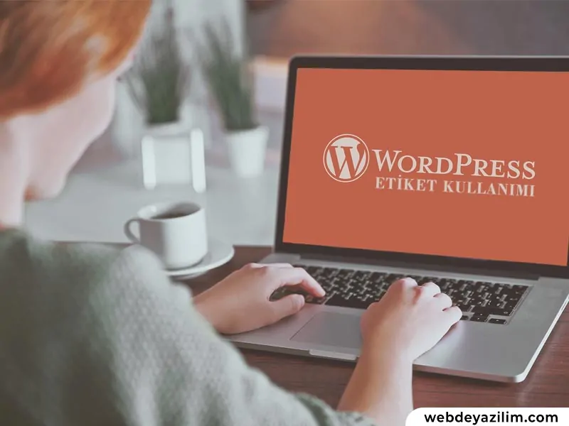 WordPress SEO etiket ilişkisi & yazı etiketlerinin SEO'ya etkileri