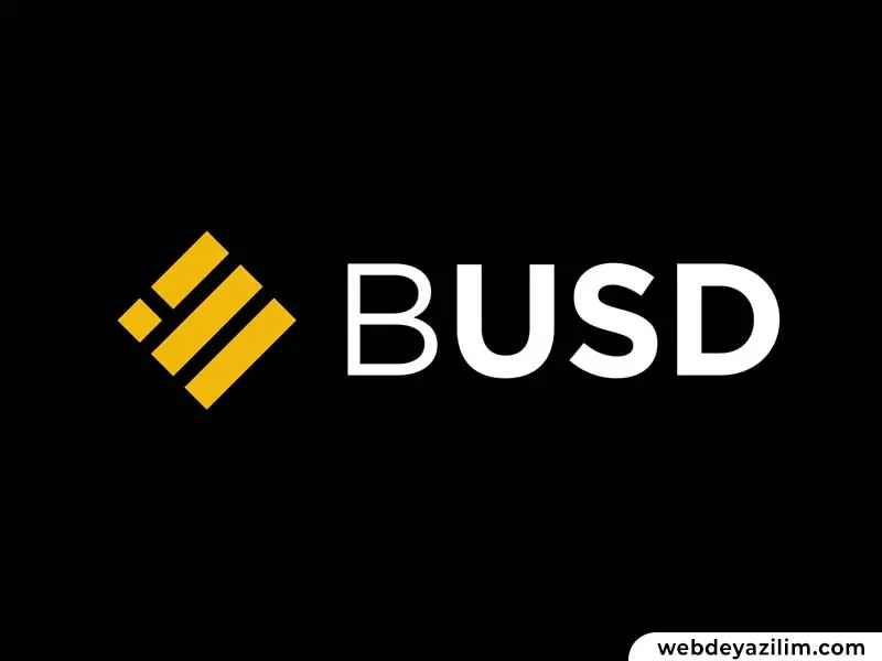 BUSD Coin Nedir? Binance USD Nasıl ve Nereden Alınır?