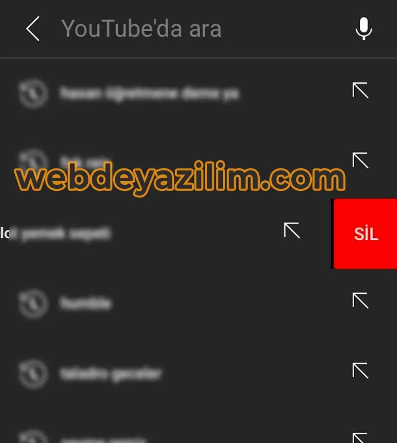 Belirli Bir Arama Ögesini Silme
