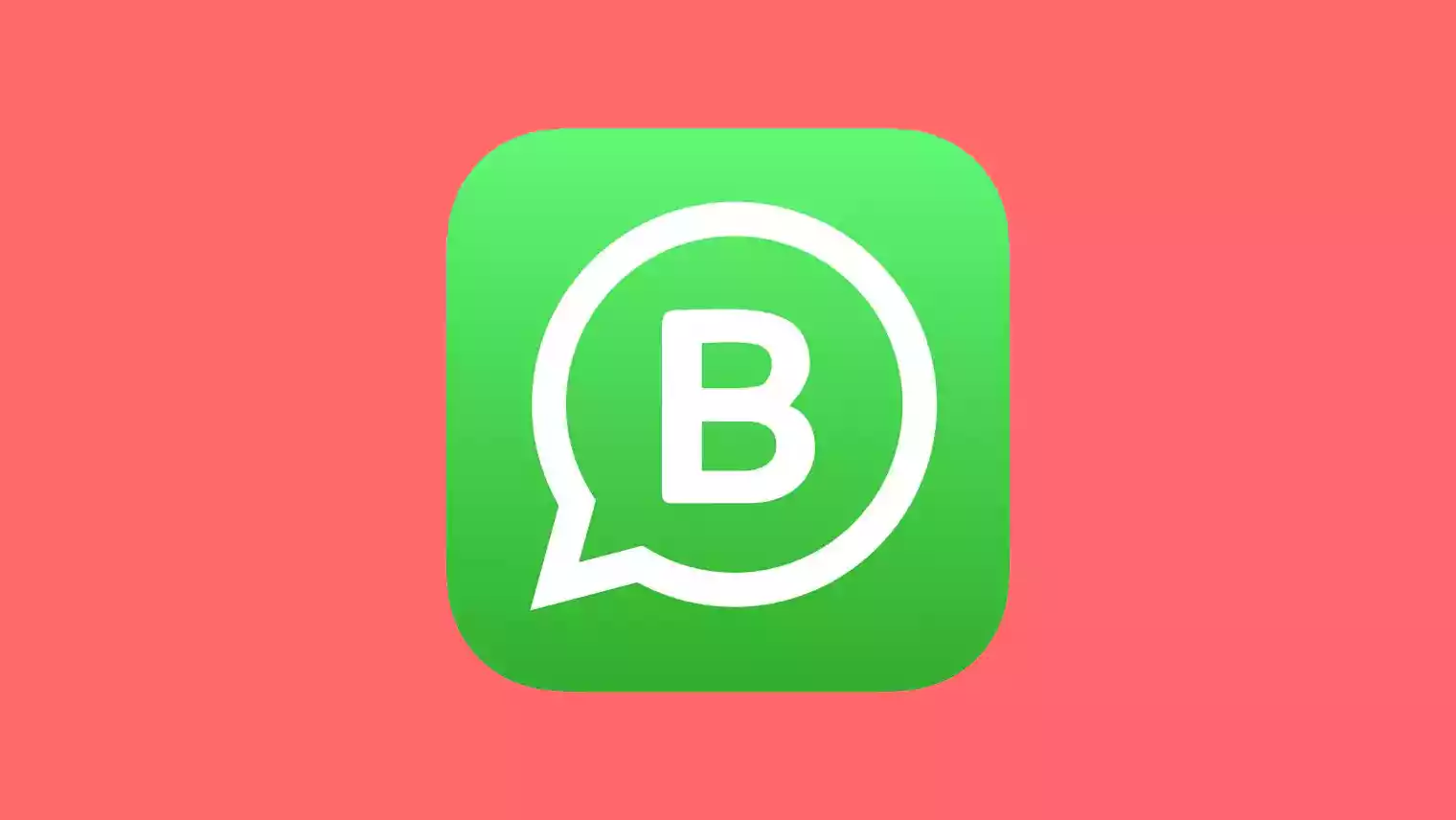 whatsapp business
