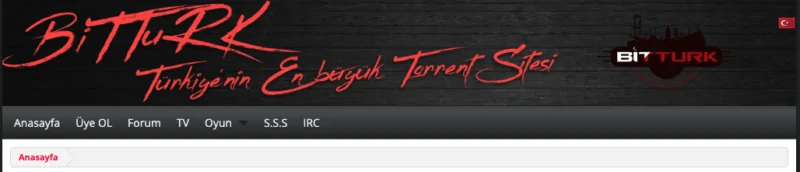 BitTurk.net