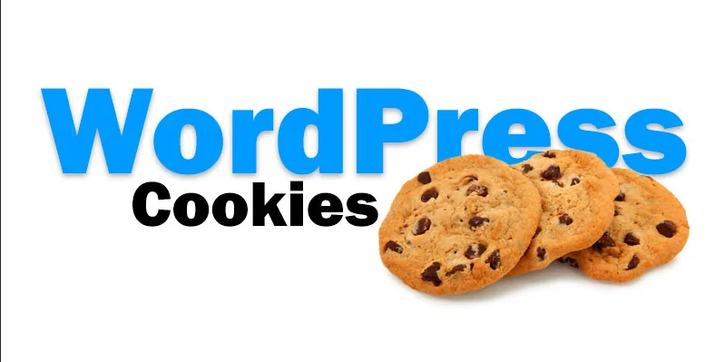 WordPress Çerez Sorunları