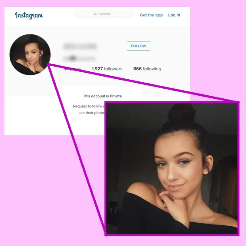 Instagram Profil Fotosu İndirme