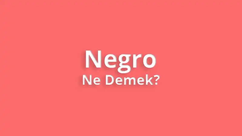 Negro Ne Demek