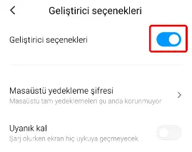 Xiaomi Geliştirici Seçenekleri Nedir?