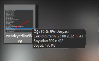 WebP Formatı Dönüştürme Site Hızlandırma SEO PhotoShop WordPress Eklenti