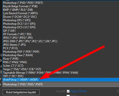 WebP Formatı Dönüştürme Site Hızlandırma SEO PhotoShop WordPress Eklenti