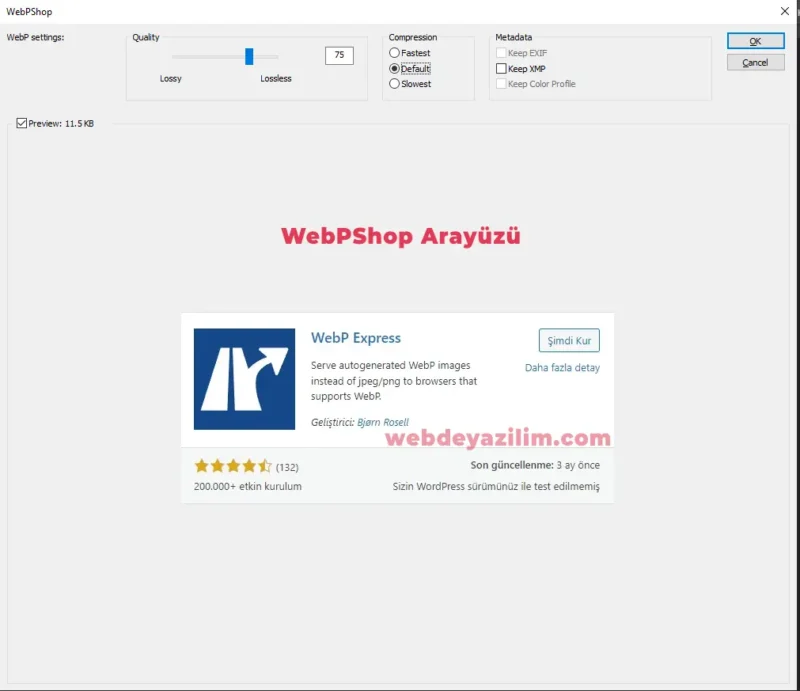 WebP Formatı Dönüştürme Site Hızlandırma SEO PhotoShop WordPress Eklenti