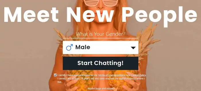 Shagle Omegle Alternatifi
