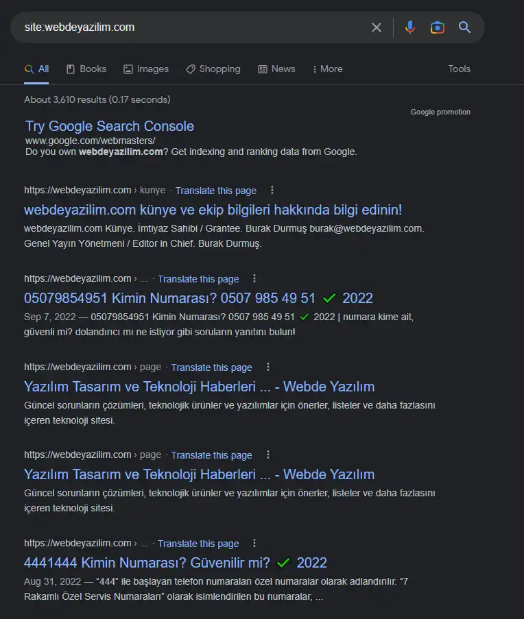 google'da bir siteye ait tüm sonuçları listeleme