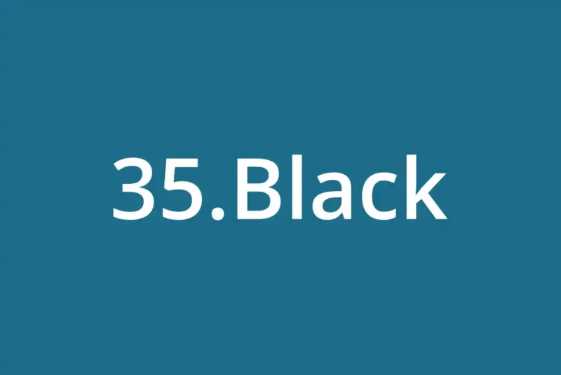 35.Black Nedir? Facebook ve Instagram Engeli