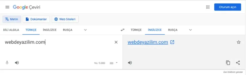 Hatasız Çeviri Sitesi ve Programı Var Mı?