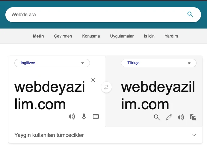 Hatasız Çeviri Sitesi ve Programı Var Mı?