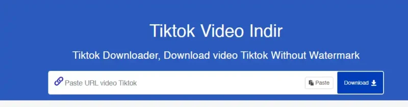 SSSTikTok Güvenli midir?