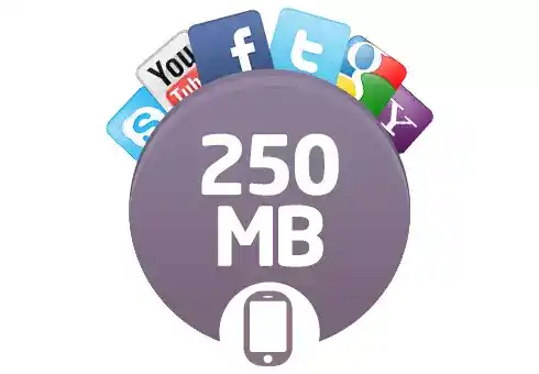 TikTok ne kadar internet yer?