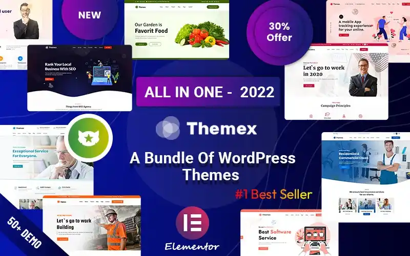 Bilgi Teknolojileri (BT) ve Yazılım Şirketleri İçin Themex WordPress Teması